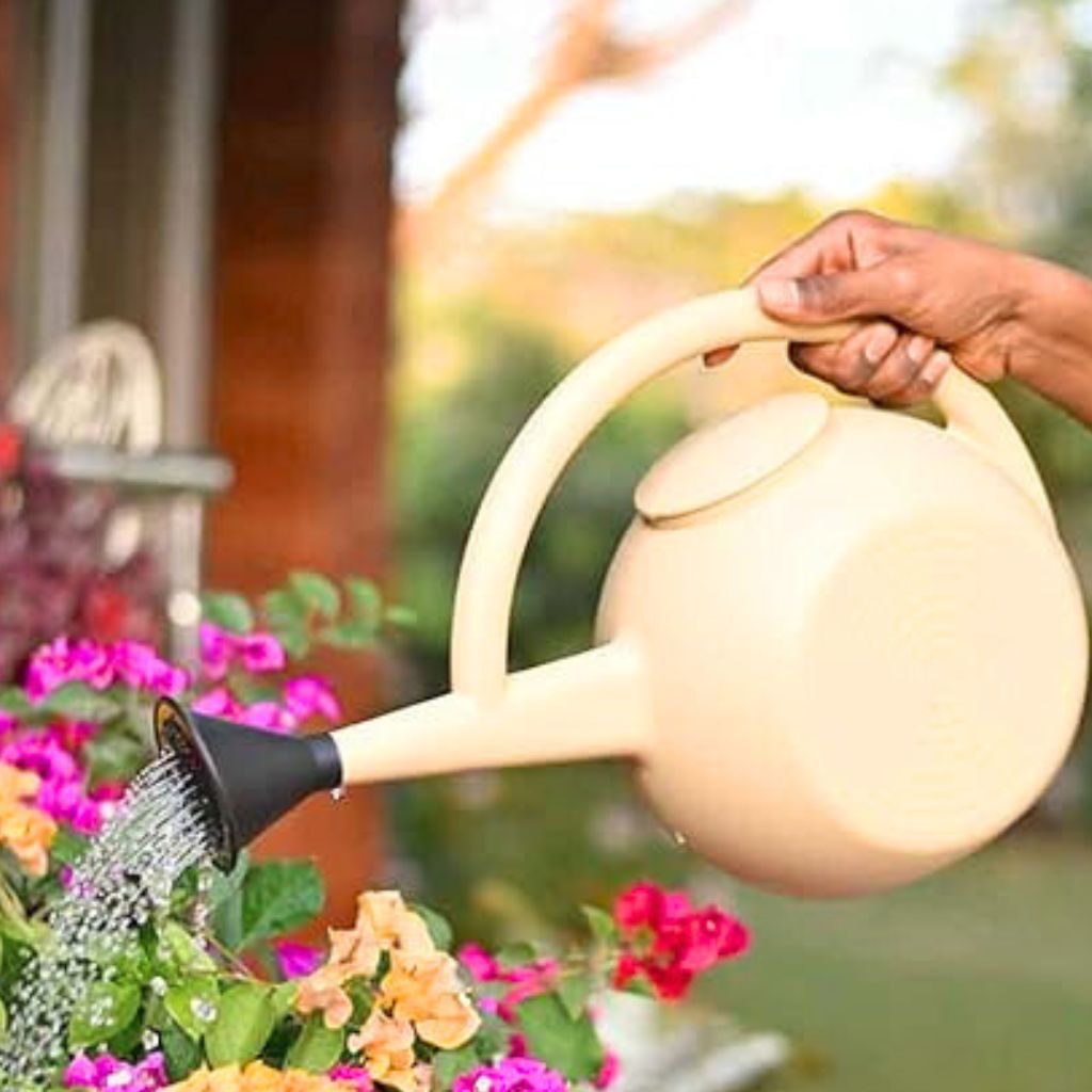 small indoor watering can for plants