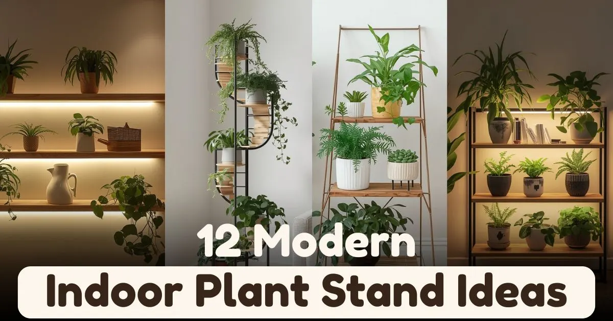 Modern Indoor Plant Stand Ideas