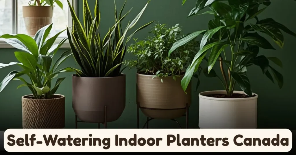 Self Watering Indoor Planters Canada