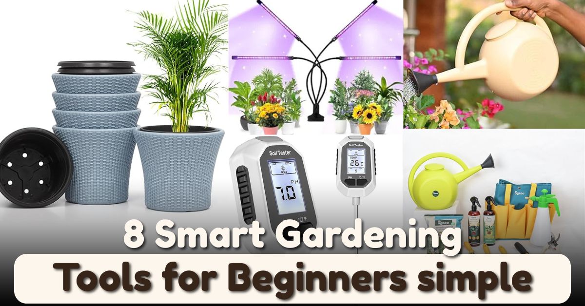 Closet Organization Ideas