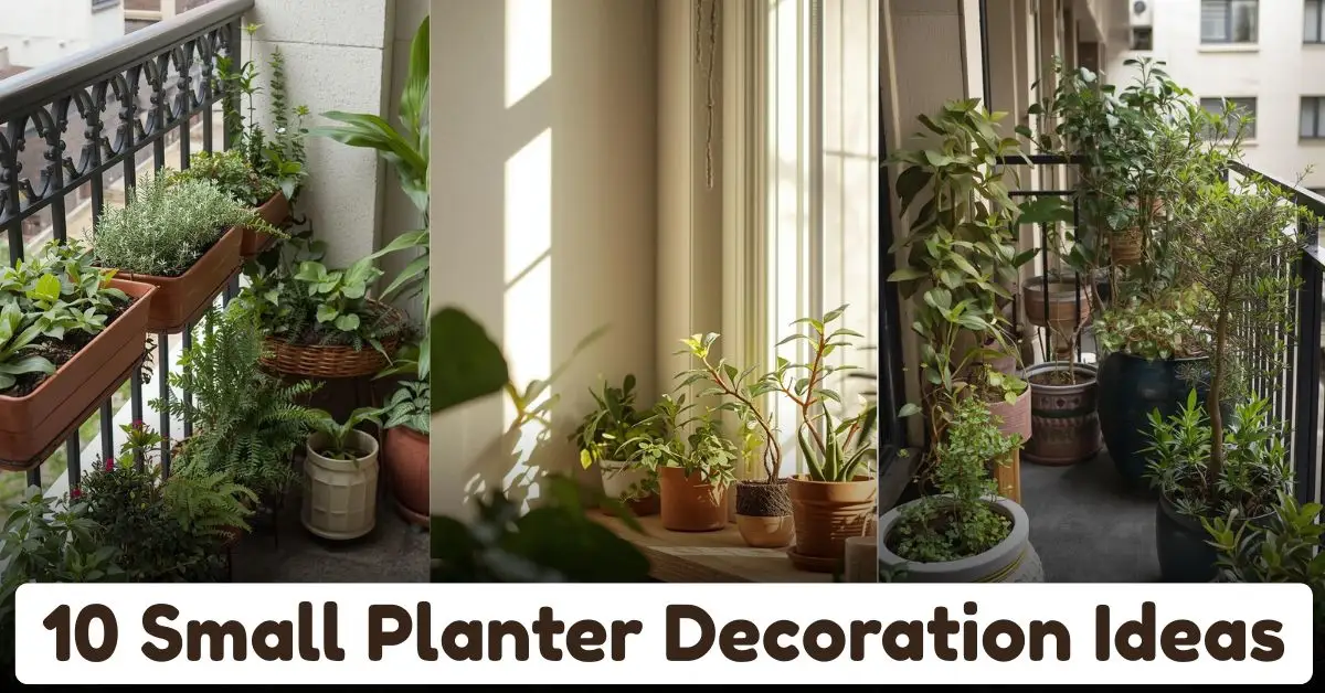 Small Planter Decoration Ideas